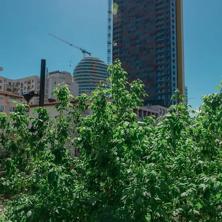 Vivar Appartement Tirana