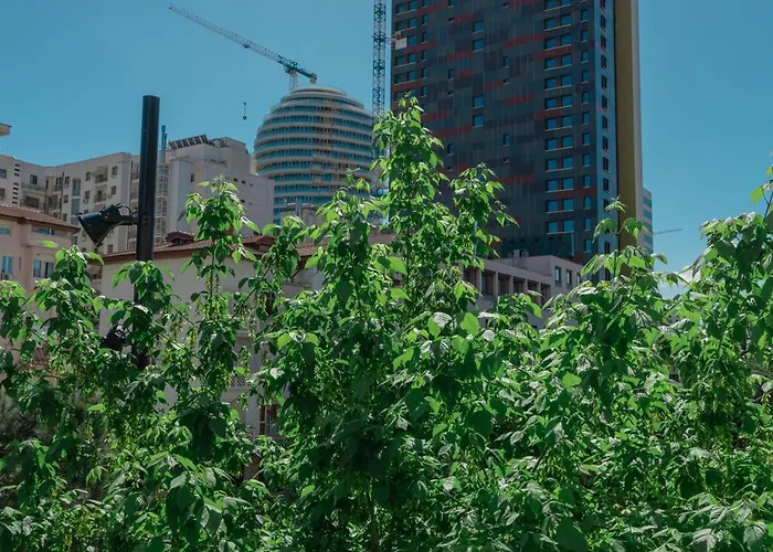 Vivar Lägenhet Tirana